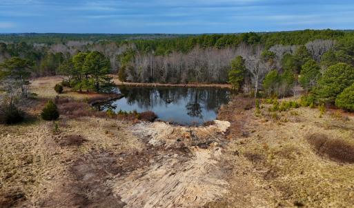 Photo #53 of 1474 Hillmon Grove Rd, Cameron, NC 59.1 acres