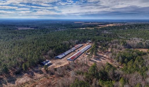 Photo #12 of 1474 Hillmon Grove Rd, Cameron, NC 59.1 acres