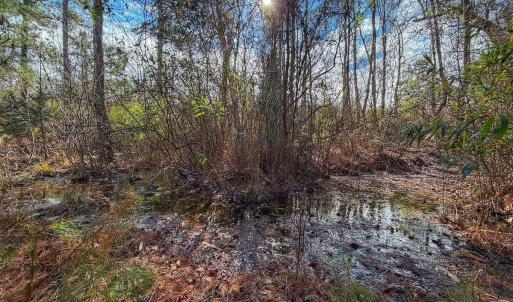 Photo #14 of 1474 Hillmon Grove Rd, Cameron, NC 59.1 acres