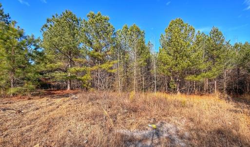 Photo #20 of 1474 Hillmon Grove Rd, Cameron, NC 59.1 acres