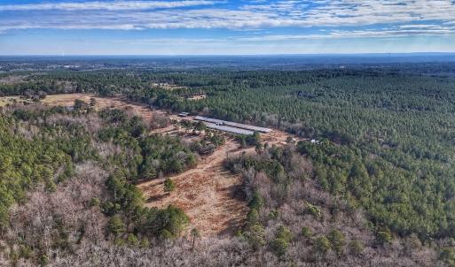 Photo #25 of 1474 Hillmon Grove Rd, Cameron, NC 59.1 acres