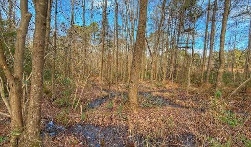 Photo #26 of 1474 Hillmon Grove Rd, Cameron, NC 59.1 acres