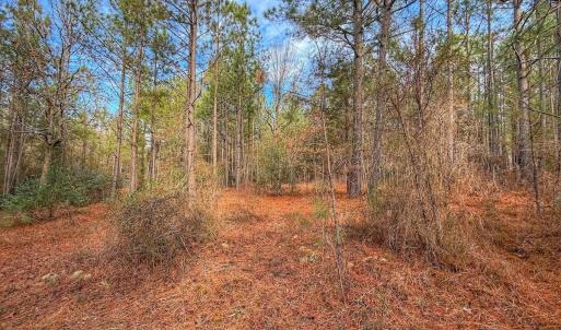 Photo #28 of 1474 Hillmon Grove Rd, Cameron, NC 59.1 acres