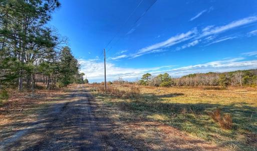 Photo #3 of 1474 Hillmon Grove Rd, Cameron, NC 59.1 acres