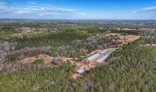 Photo #39 of 1474 Hillmon Grove Rd, Cameron, NC 59.1 acres