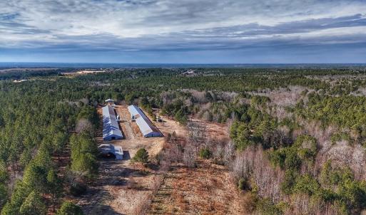Photo #5 of 1474 Hillmon Grove Rd, Cameron, NC 59.1 acres
