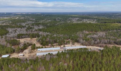 Photo #41 of 1474 Hillmon Grove Rd, Cameron, NC 59.1 acres