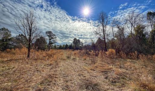 Photo #42 of 1474 Hillmon Grove Rd, Cameron, NC 59.1 acres