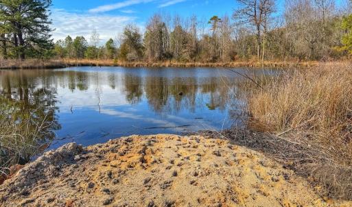 Photo #48 of 1474 Hillmon Grove Rd, Cameron, NC 59.1 acres