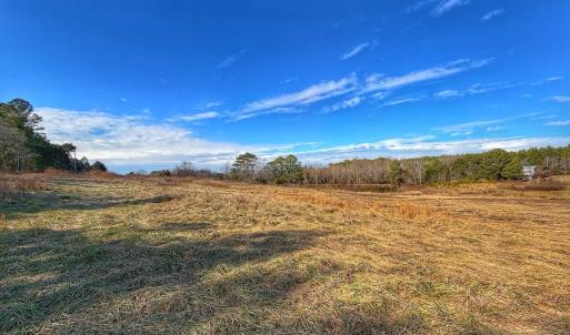 Photo #52 of 1474 Hillmon Grove Rd, Cameron, NC 59.1 acres