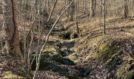 Photo #4 of Off of Walnut Lane, Lynchburg, VA 6.4 acres