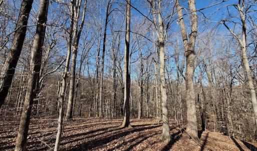 Photo #13 of Off of Walnut Lane, Lynchburg, VA 6.4 acres