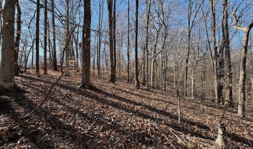 Photo #14 of Off of Walnut Lane, Lynchburg, VA 6.4 acres