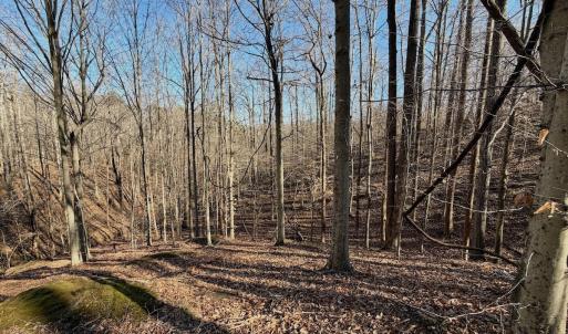 Photo #15 of Off of Walnut Lane, Lynchburg, VA 6.4 acres