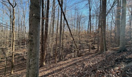 Photo #16 of Off of Walnut Lane, Lynchburg, VA 6.4 acres