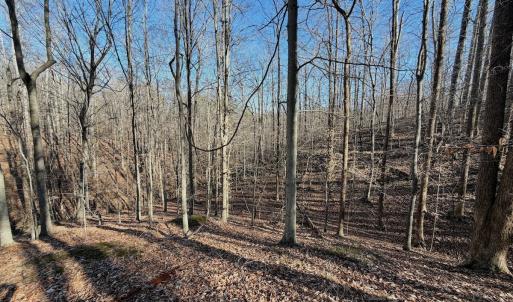 Photo #17 of Off of Walnut Lane, Lynchburg, VA 6.4 acres