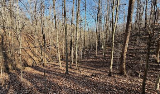 Photo #18 of Off of Walnut Lane, Lynchburg, VA 6.4 acres