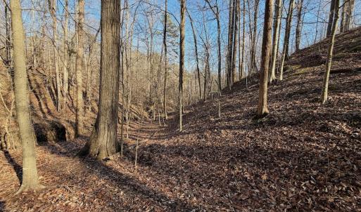 Photo #20 of Off of Walnut Lane, Lynchburg, VA 6.4 acres