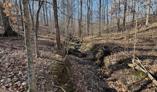 Photo #22 of Off of Walnut Lane, Lynchburg, VA 6.4 acres