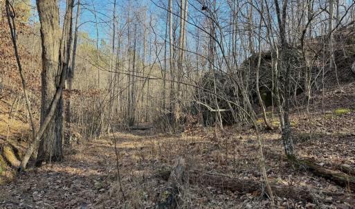 Photo #24 of Off of Walnut Lane, Lynchburg, VA 6.4 acres