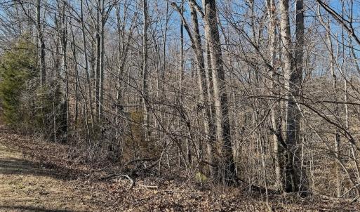 Photo #29 of Off of Walnut Lane, Lynchburg, VA 6.4 acres
