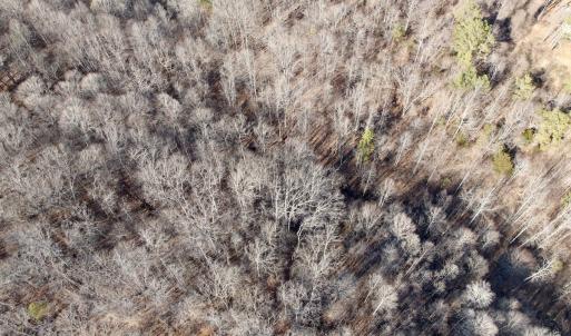 Photo #31 of Off of Walnut Lane, Lynchburg, VA 6.4 acres