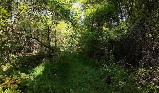 Photo #39 of Off of Walnut Lane, Lynchburg, VA 6.4 acres