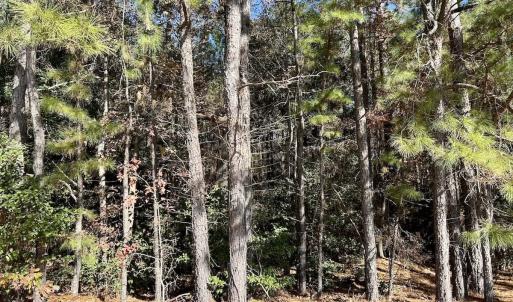 Photo #16 of Off Mcdougald Rd, Broadway, NC 27,505.0 acres
