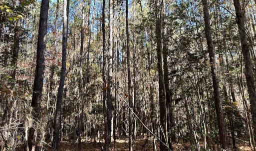 Photo #17 of Off Mcdougald Rd, Broadway, NC 27,505.0 acres