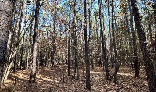 Photo #18 of Off Mcdougald Rd, Broadway, NC 27,505.0 acres