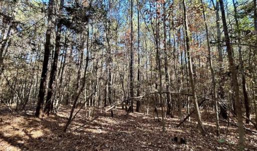 Photo #19 of Off Mcdougald Rd, Broadway, NC 27,505.0 acres
