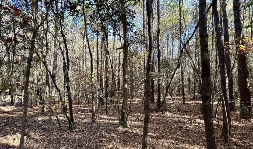 Photo #20 of Off Mcdougald Rd, Broadway, NC 27,505.0 acres