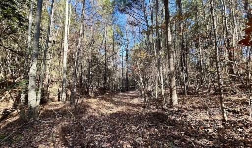 Photo #22 of Off Mcdougald Rd, Broadway, NC 27,505.0 acres