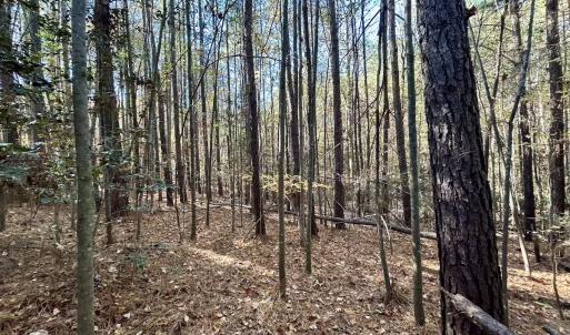 Photo #23 of Off Mcdougald Rd, Broadway, NC 27,505.0 acres