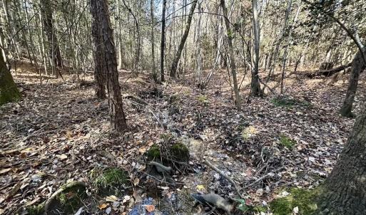 Photo #27 of Off Mcdougald Rd, Broadway, NC 27,505.0 acres