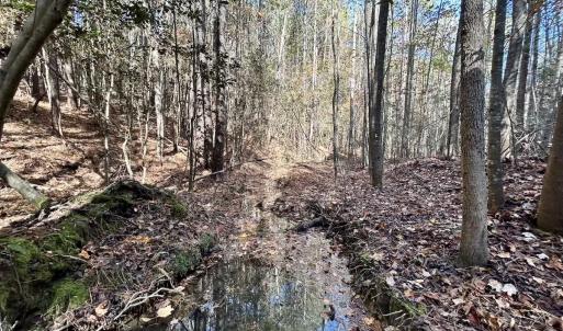 Photo #28 of Off Mcdougald Rd, Broadway, NC 27,505.0 acres