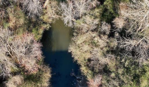 Photo #15 of 346 Menola St Johns Rd, Ahoskie, NC 35.4 acres