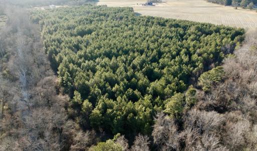 Photo #17 of 346 Menola St Johns Rd, Ahoskie, NC 35.4 acres