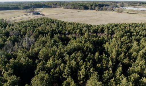 Photo #19 of 346 Menola St Johns Rd, Ahoskie, NC 35.4 acres