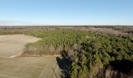 Photo #1 of 346 Menola St Johns Rd, Ahoskie, NC 35.4 acres