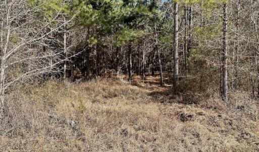 Photo #2 of 346 Menola St Johns Rd, Ahoskie, NC 35.4 acres