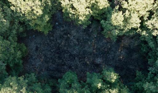 Photo #23 of 346 Menola St Johns Rd, Ahoskie, NC 35.4 acres