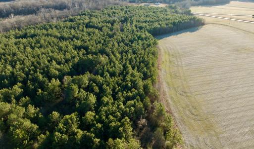 Photo #27 of 346 Menola St Johns Rd, Ahoskie, NC 35.4 acres