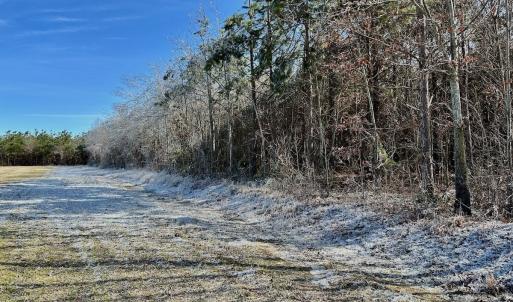 Photo #28 of 346 Menola St Johns Rd, Ahoskie, NC 35.4 acres