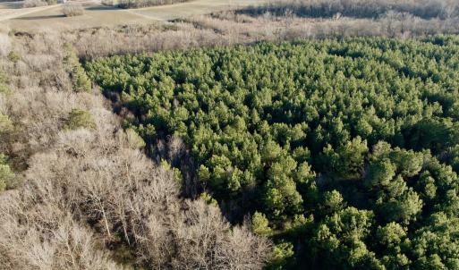 Photo #31 of 346 Menola St Johns Rd, Ahoskie, NC 35.4 acres