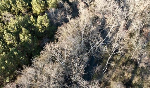 Photo #37 of 346 Menola St Johns Rd, Ahoskie, NC 35.4 acres