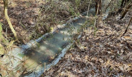 Photo #38 of 346 Menola St Johns Rd, Ahoskie, NC 35.4 acres