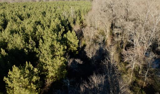 Photo #39 of 346 Menola St Johns Rd, Ahoskie, NC 35.4 acres