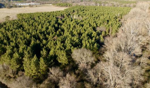 Photo #9 of 346 Menola St Johns Rd, Ahoskie, NC 35.4 acres