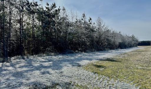Photo #42 of 346 Menola St Johns Rd, Ahoskie, NC 35.4 acres